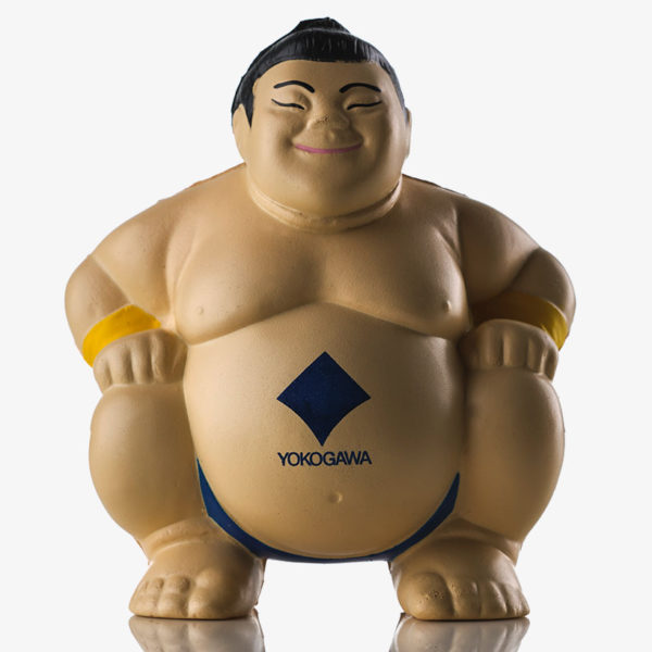 Maatwerk Yokogawa door Promotools